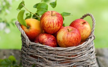 basket-of-apples